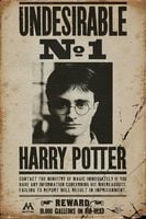Harry Potter Poszukiwany - plakat 61x91,5 cm