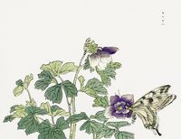 Plakat 65x50cm Motyl z Kwiatem Morimoto Toko Japoński Vintage do Salonu