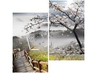 product-compare-58609715