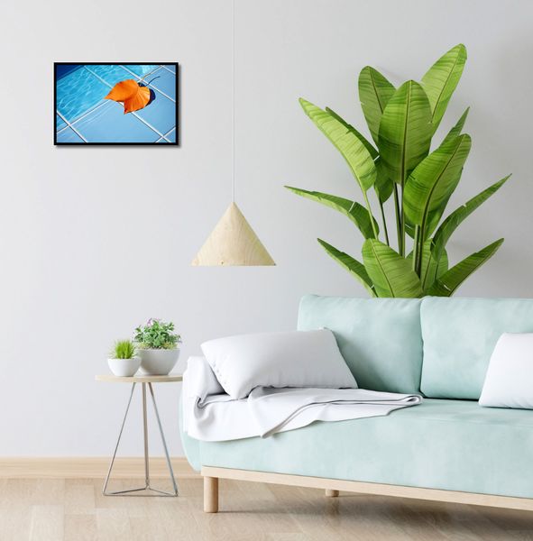 Plakat 45x30cm Liść przy Wodzie zdjęcie 4