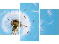 90X60CM OBRAZ ZDMUCHNIĘTE TRZY OBRAZY