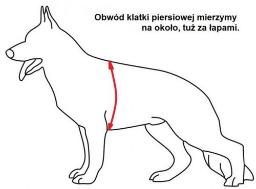 Szelki patrolowe Bravo, rozm. XL na Arena.pl