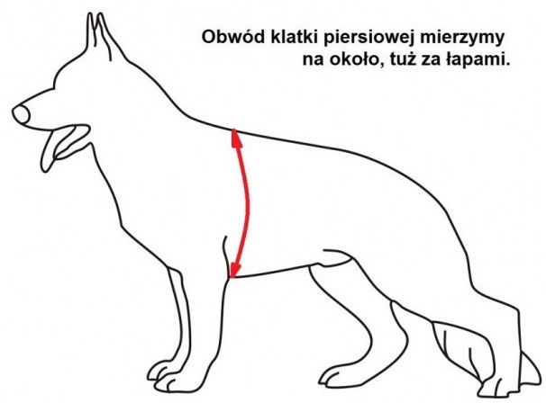 Szelki patrolowe Bravo, rozm. XL zdjęcie 3