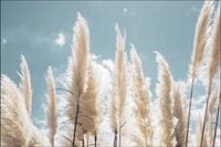 Tło FLAT LAY do fotografii produktowej kulinarnej