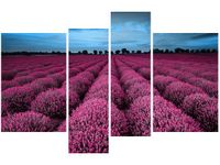 OBRAZ LAWENDOWY NCUSKI KRAJOBRAZ