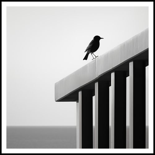 Plakat 90x90cm Samotna Odchłań na Arena.pl