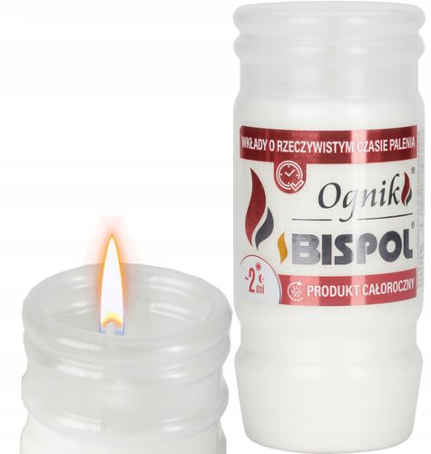 bispol - wkład zalewany ognik wp2n - 30 szt. na Arena.pl