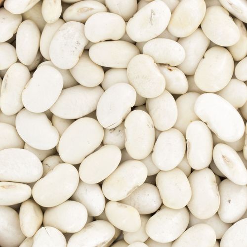 Fasola Piękny Jaś karłowy 500g na Arena.pl