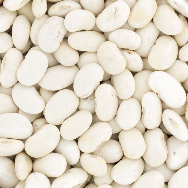 Fasola Piękny Jaś karłowy 500g zdjęcie 3