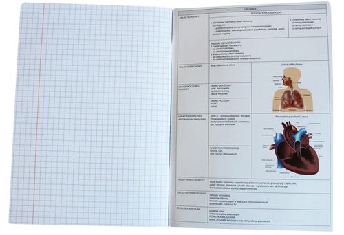 Komplet zestaw 10 zeszytów ściąga kolor Interdruk A5/60k zeszyt klasa 4-8 na Arena.pl