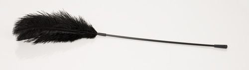 Czarne Długie Piórko Do Łaskotania Bad Kitty na Arena.pl