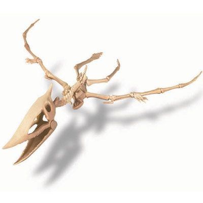 WYKOPALISKA - PTEROZAUR na Arena.pl