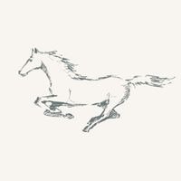 Tapeta Szkic Konie W122 270 cm płótno