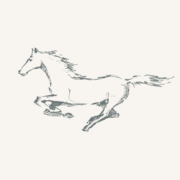 Tapeta Szkic Konie W122 250 cm płótno zdjęcie 1