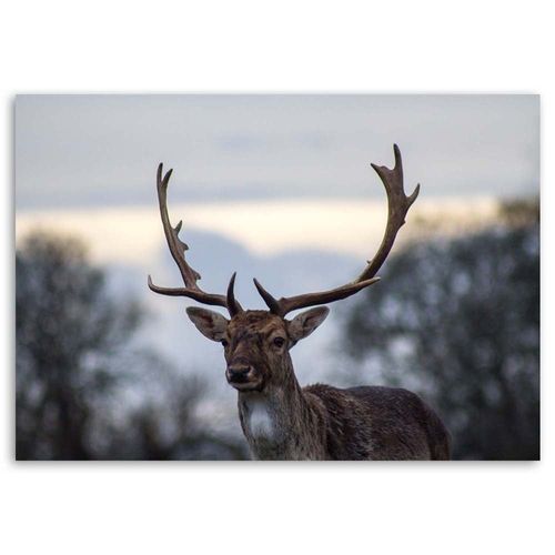 Emaga Obraz na płótnie, Jeleń - 120x80 na Arena.pl