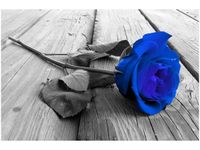 120CM 80CM OBRAZ ŚCIENNY CHABROWA RÓŻYCZKA