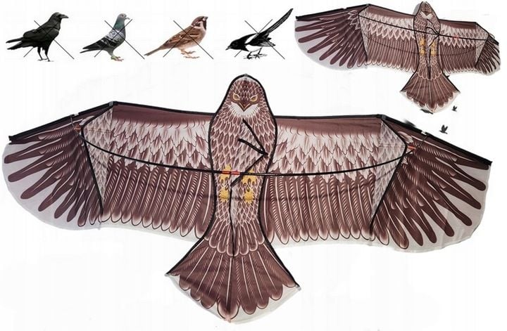 Profesjonalny Odstraszacz PTAKÓW GOŁĘBI SZPAKÓW sokół LATAWIEC ORZEŁ zdjęcie 1