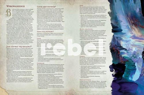 D&D 5.0 KSIĘGA POTWORÓW na Arena.pl