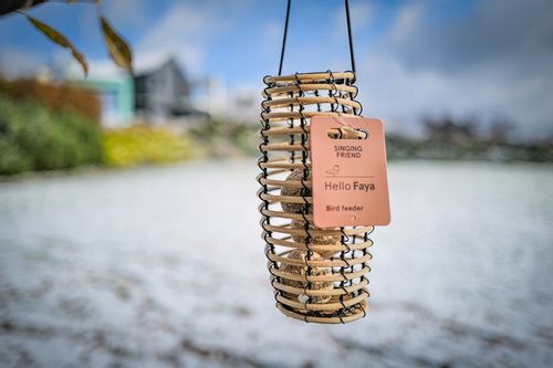 KARMNIK DLA PTAKÓW NA ZIMĘ FAYA + KULE BILE TŁUSZCZOWE (15 SZT) + PORADNIK na Arena.pl