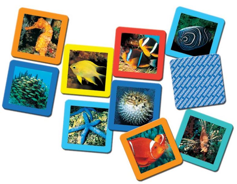 TREFL 00799 GRA MEMOS RAFA KORALOWA zdjęcie 3