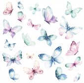 2 x MOTYLE motylki NAKLEJKI NA ŚCIANĘ szybe meble drzwi lutro 50x50cm