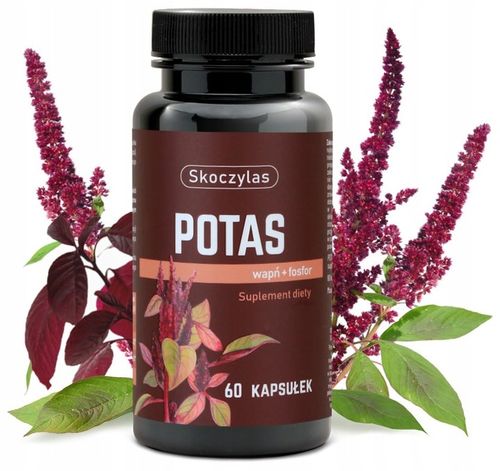 Skoczylas POTAS + WAPŃ FOSFOR Serce NERWY MIĘŚNIE na Arena.pl