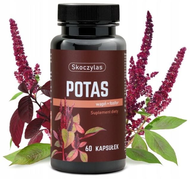 Skoczylas POTAS + WAPŃ FOSFOR Serce NERWY MIĘŚNIE zdjęcie 3