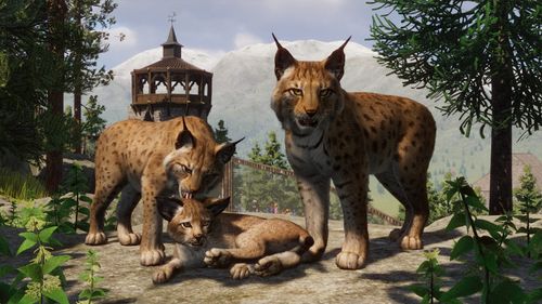 Planet Zoo: Ultimate Edition 2021 PL (PC) Klucz Steam Kod Bez VPN 24/7 na Arena.pl