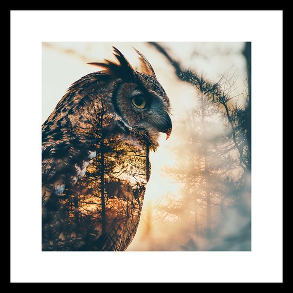 Plakat 30x30cm Sowi Duch zdjęcie 3