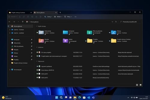 Program MICROSOFT Windows 11 Professional Box na Arena.pl