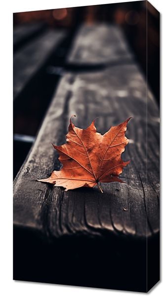 Obraz 30x60cm Pojedynczy Liść zdjęcie 1