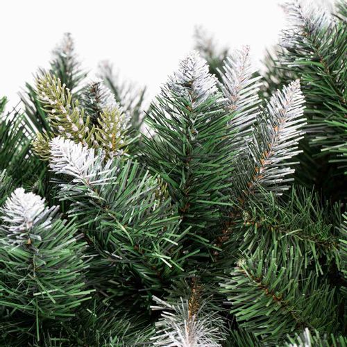 CS/AH/PINE/DIANA/180 na Arena.pl