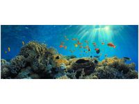 100X40CM RAFA KORALOWA OBRAZ DREWNO