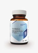 # HEPATICA Kaneka Ubiquinol Koenzym Q10 V100 (60 kaps.)