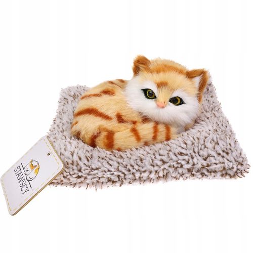 REALISTYCZNY KOTEK ŚPIĄCY NA PODUSZCE jak żywy MIAUCZĄCY figurka PREZENT na Arena.pl