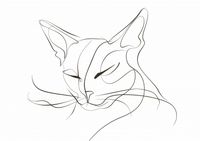 product-compare-59413194