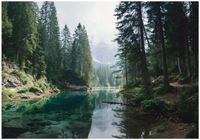 Fototapeta Na Flizelinie Do Sypialni Salonu Las 400x280