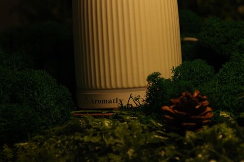 Aromatly Dyfuzor Zapachowy Ceramiczny Aromaterapia Lampka Nocna | na Arena.pl