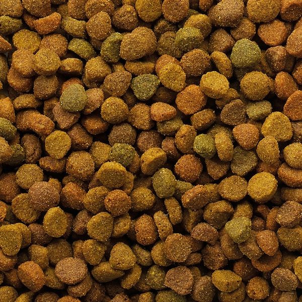 VERSELE-LAGA Classic Cat Variety 10kg zdjęcie 13