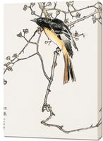 Obraz 70x100cm Siberian Blue-Tail, Kashu Japoński Vintage