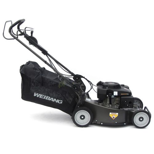 Weibang WB537SCVAL na Arena.pl