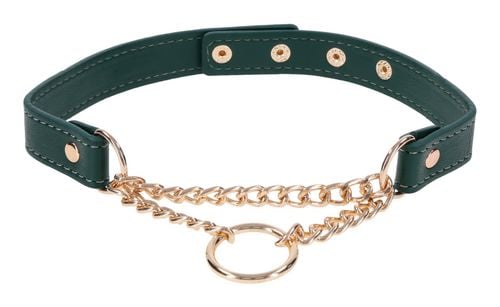 Day Collar na Arena.pl