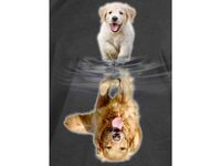 PIES W MOZAICE DIAMENTOWEJ