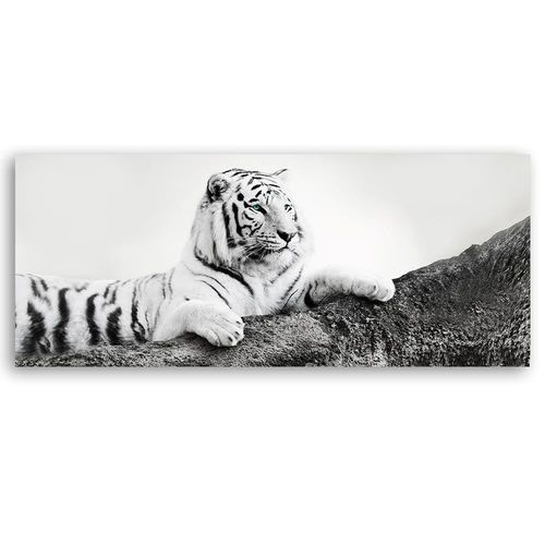 Deco Panel, Czuwający tygrys 150x50 na Arena.pl