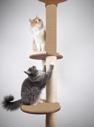 Samoprzylepna MATA DO DRAPANIA na kanapę meble dla kotów ochrona 100x40 na Arena.pl