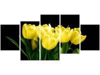 70CM 150CM OBRAZ 5 ELEM ŻÓŁTE TULIPANY- MARK FREETH ŚCIENNY