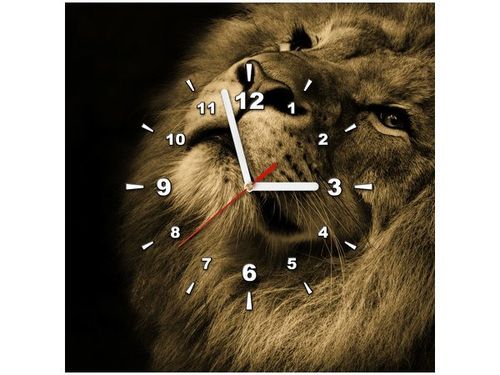 40X40CM ZEGAR ZŁOTY LEW OBRAZ na Arena.pl