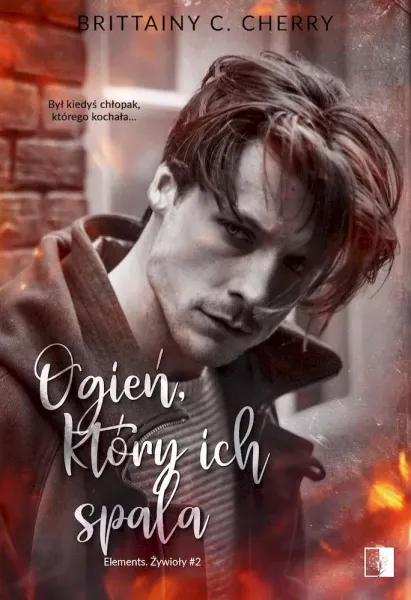 Elements. Tom 2. Ogień, który ich spala zdjęcie 1