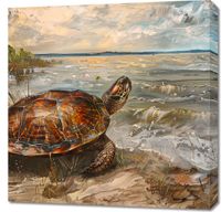 product-compare-59510366