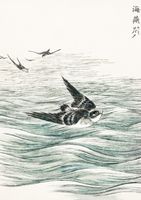 Plakat 29,7x42cm Riu Kiu House Swallow, Kashu Japoński Vintage
